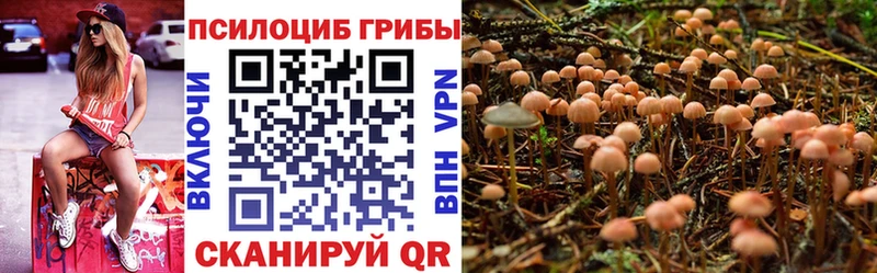 Псилоцибиновые грибы мухоморы  Купить  Усмань 